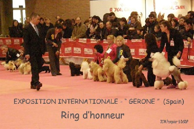 Very Irresistible - Gerona internationale 16 03 21213